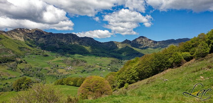 Paysage auvergnat
