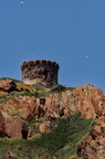 Tour de guet