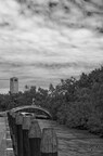 Bord du canal